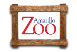 Amarillo summer camps